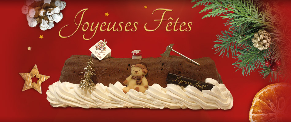 Bûches glacées pour Noël